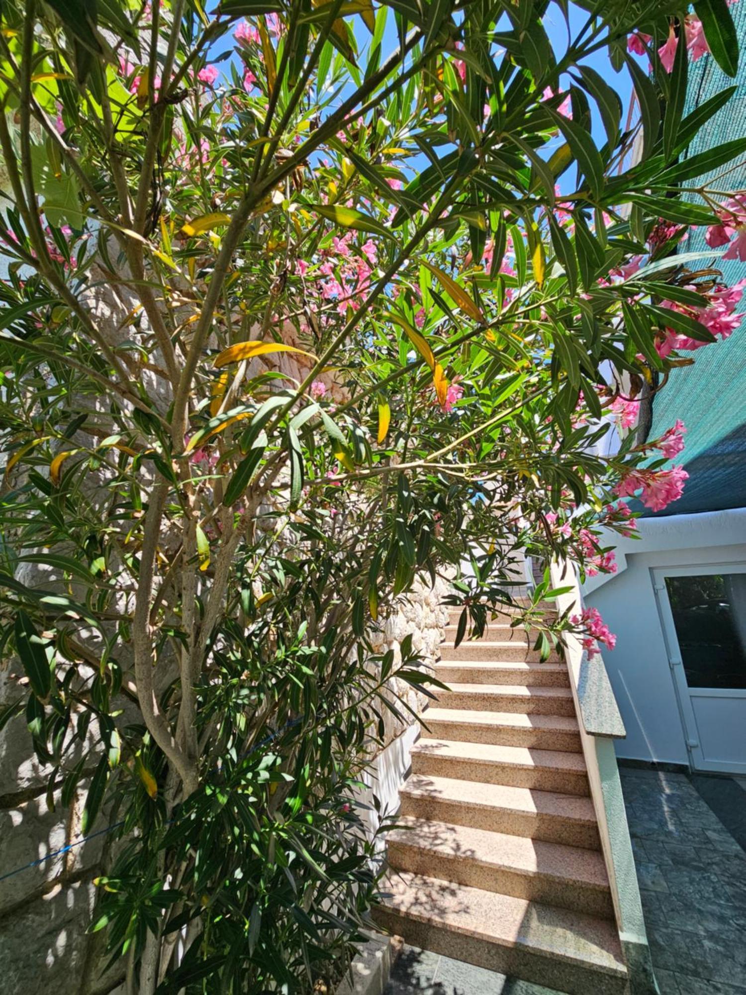 Apartments Bahar Krk Крк Екстер'єр фото